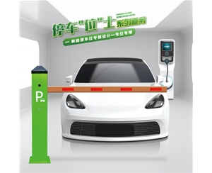 德州RG-CW系列车位小道闸